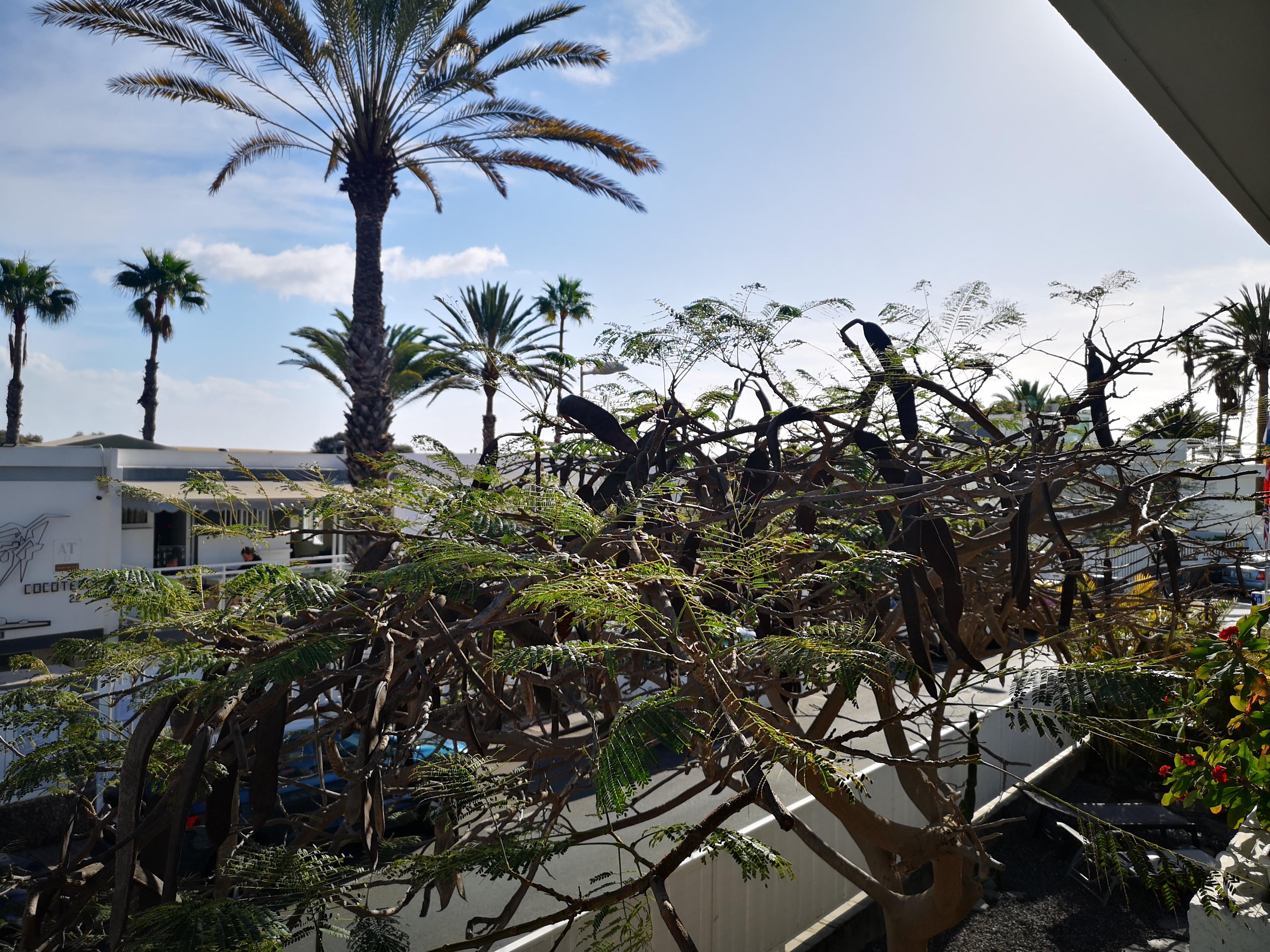 Apartamentos Tamara Maspalomas  Luaran gambar
