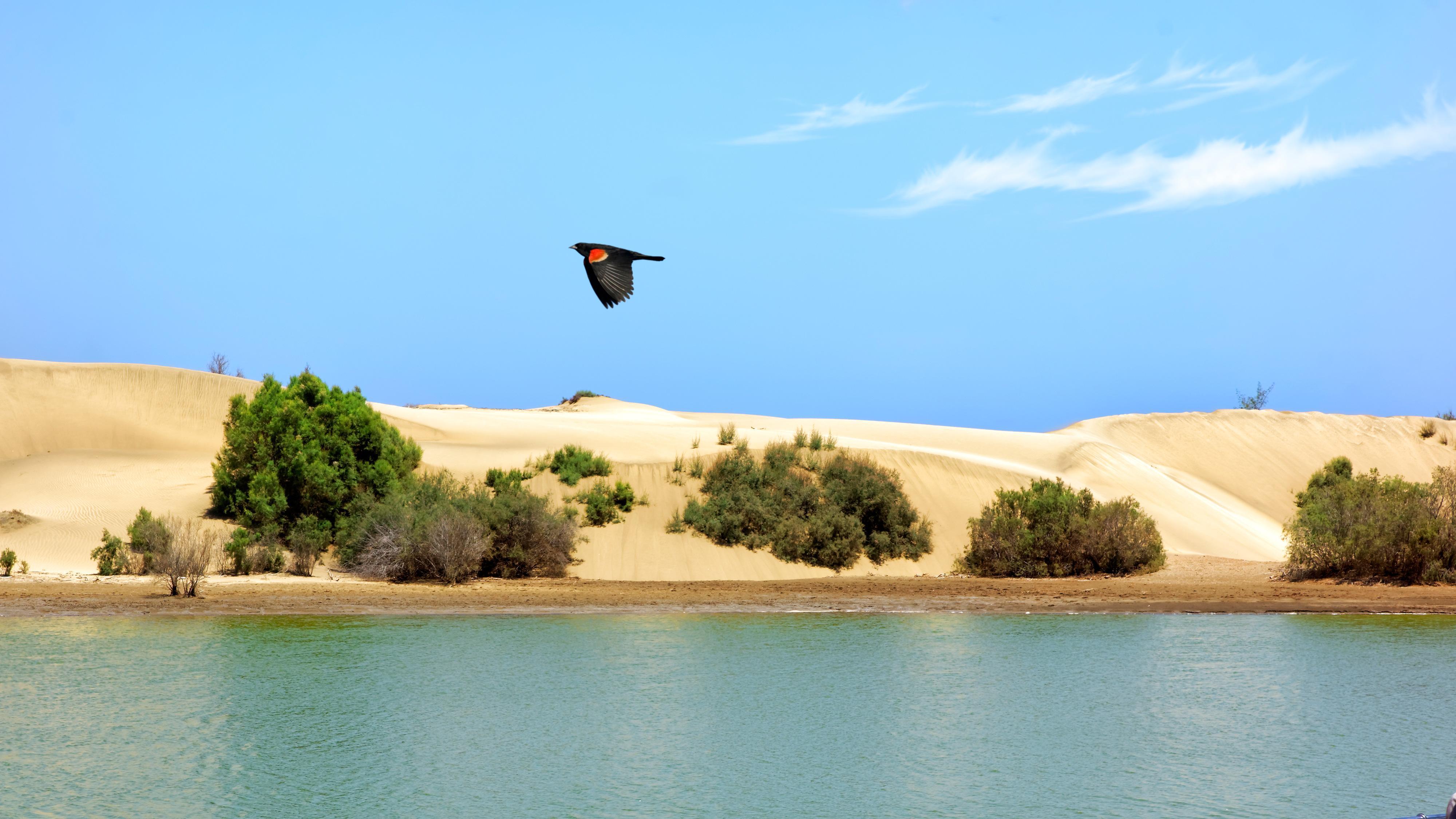 Apartamentos Tamara Maspalomas  Luaran gambar